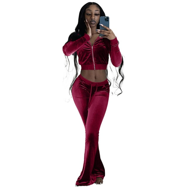F171 Autumn Winter Women Outdoor Casual Sports Solid Velvet Two Piece Set Top and Pants Tracksuit Sweatsuit Outfits