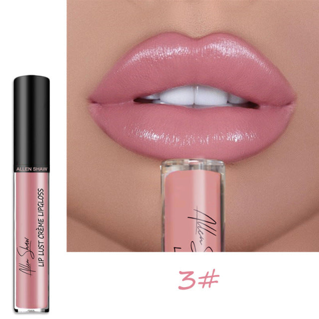Nude Creamy Semi Matte Lipgloss Waterproof Long Lasting Moist Lip Gloss Plumper Liquid Lipstick Lips Tattoo Makeup rouge a levre