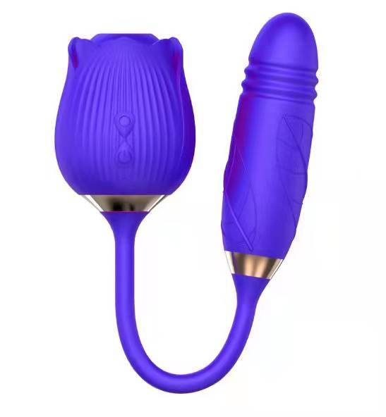 Rose Sucking Vibrator 10 Modes Vibrating Clit Sucker Nipple Blowjob Clitoris Stimulation Female Masturbation Sex Toys for Women